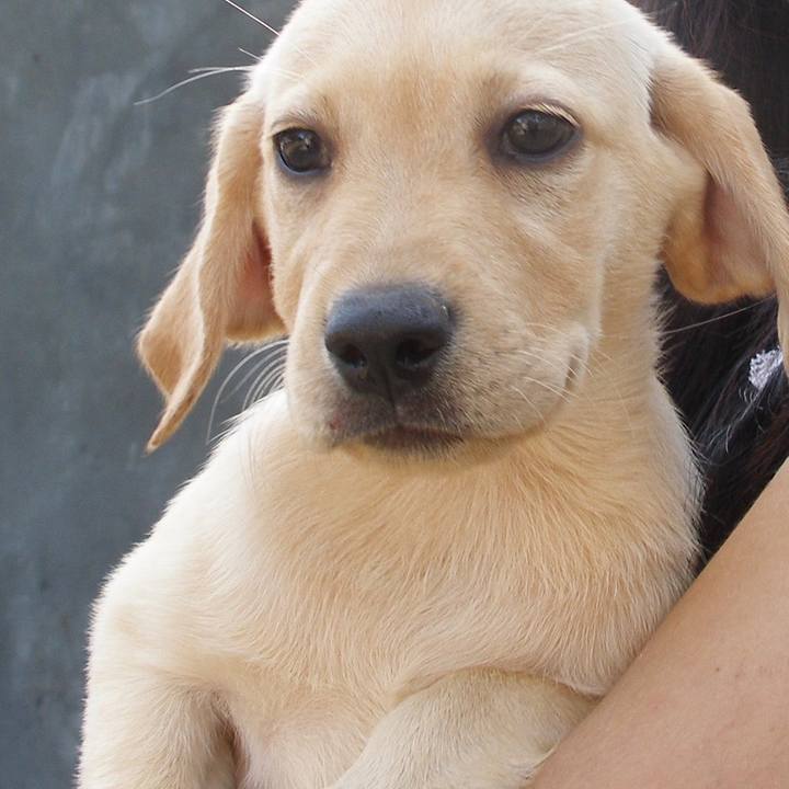 22a89afc 2321 4b5b a1b2 4f915d518474