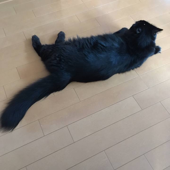 22a8e120 1eaa 4cb3 9763 40412a9b4da3