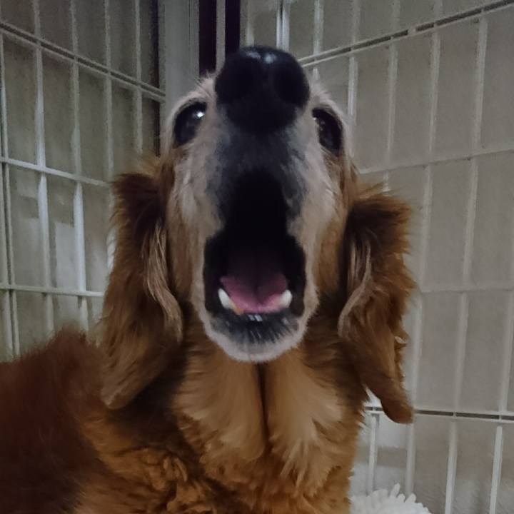 22a93f7e 9fc0 47f4 8f33 e74d4b628da7