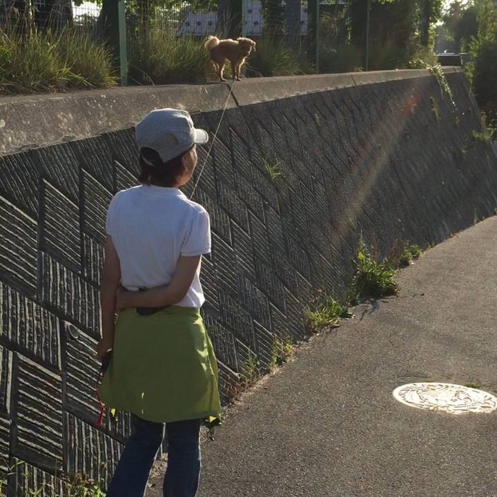 22a96ac1 a12b 4baa b65a 3aceccbd831f