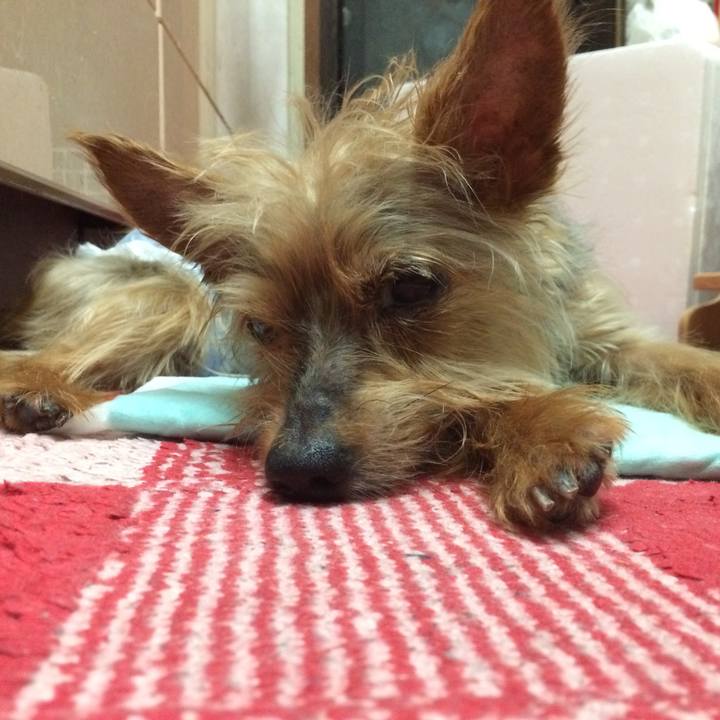 22a9cc2e 119e 4d8e bae1 89be4b3c82cf