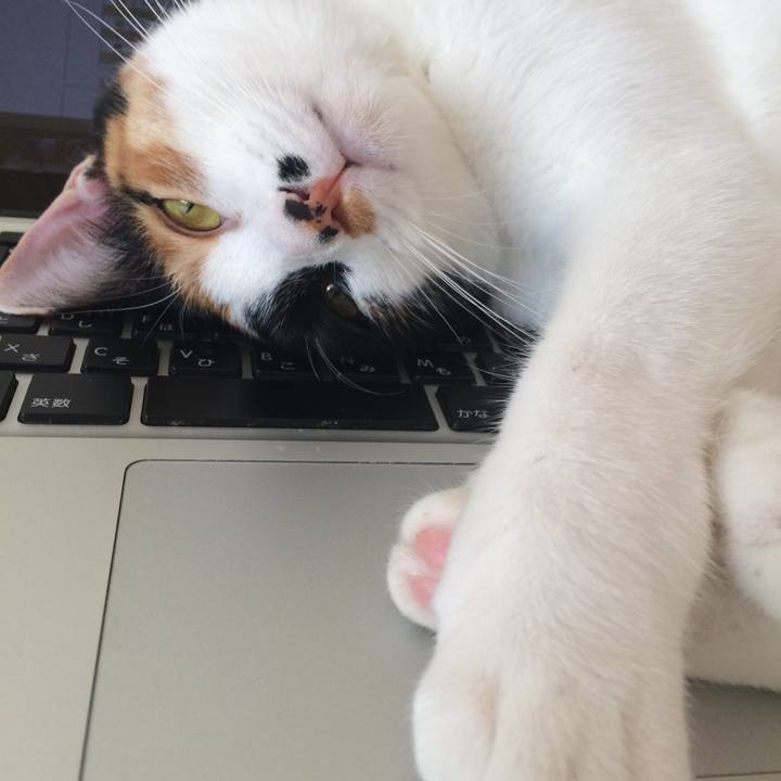 22aa5621 216a 4970 9b7c d9bc19b983ae