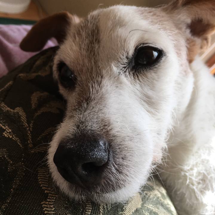 22ab4da1 7549 4110 812d 0b065f6958da