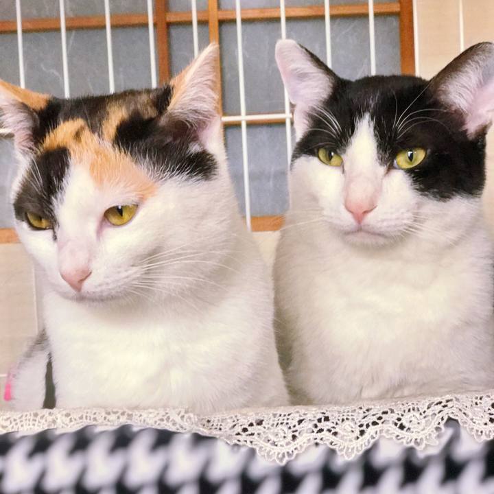 22ac28bf a953 44ae 8305 04d662abb497