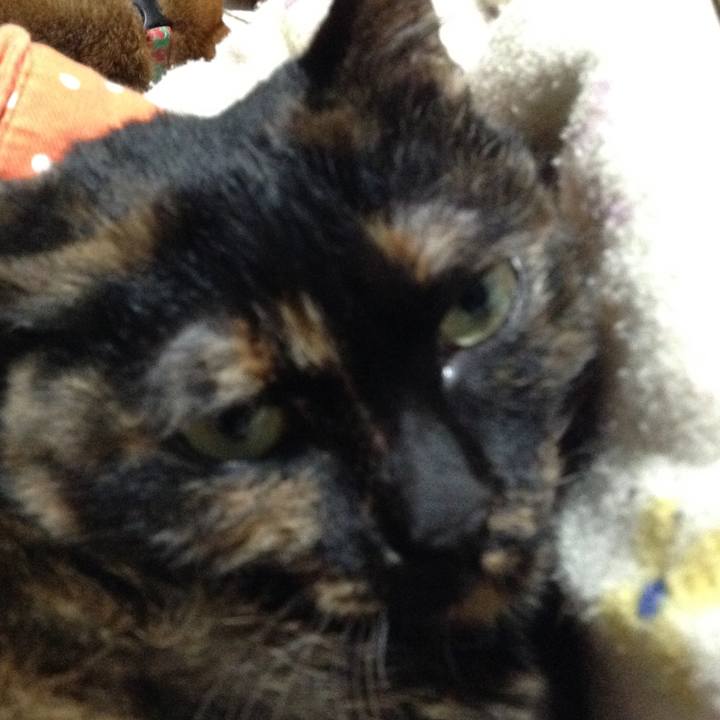 22ac7276 79bb 43a3 8a98 c49aae530274