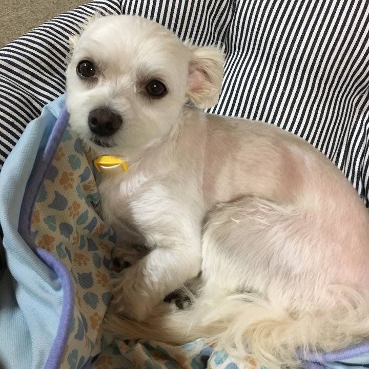 22ad51cc c704 4413 bef9 a241db18e83c