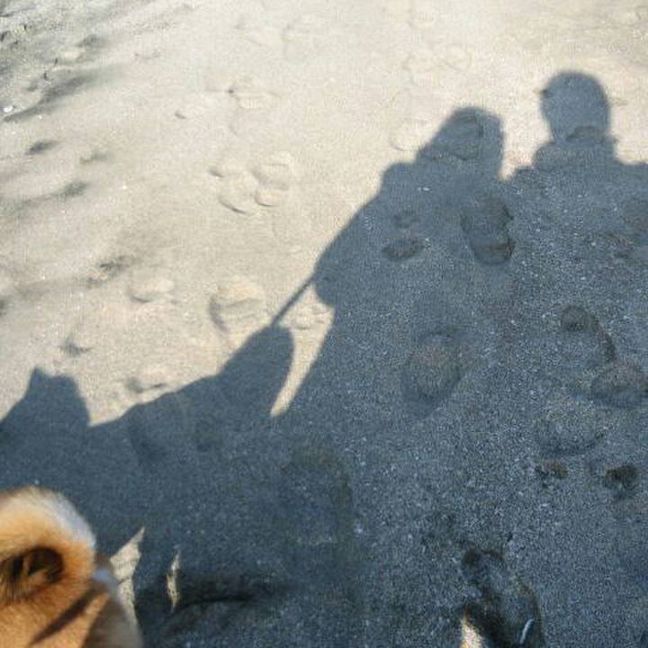 22adf293 d018 4f73 b2e2 b8189a8f8bbb