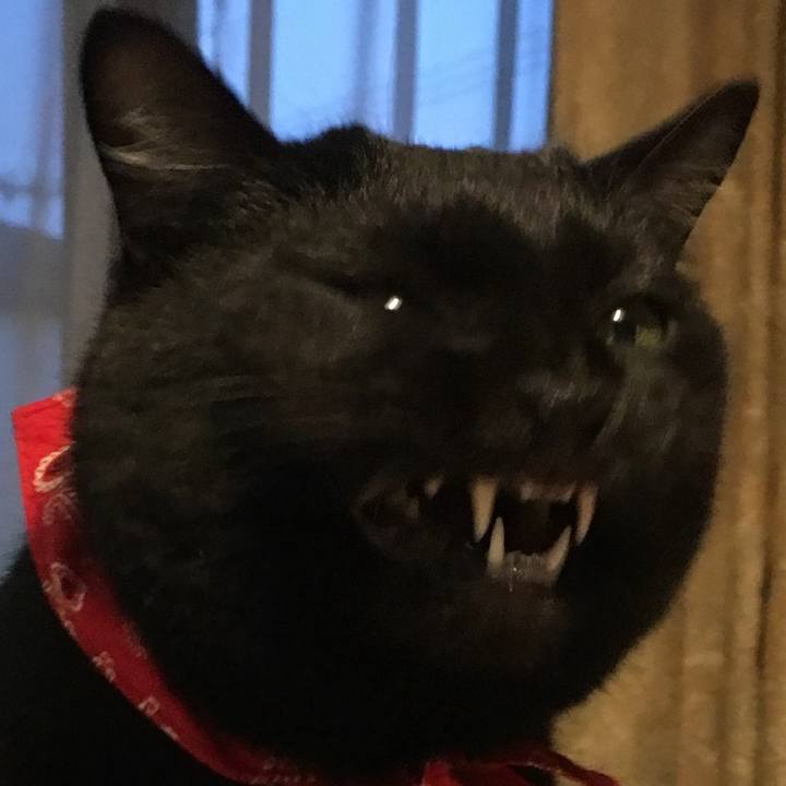 22ae00e6 18f9 4b87 8077 575aa086d866