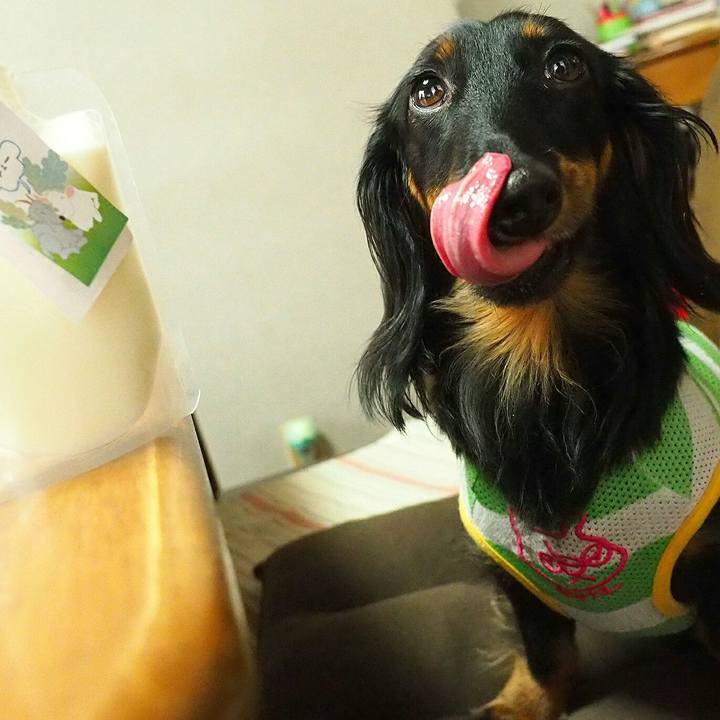 22ae43d4 0c7d 421a 807d eefb53b31e32