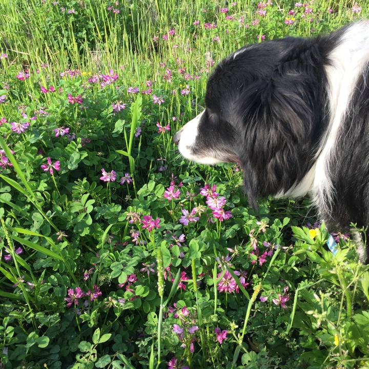 22ae478a abd3 480d 878e b898b40ac7b0