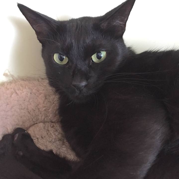 22ae9b2a 2abf 46d1 b00c b48e3e7c17b1