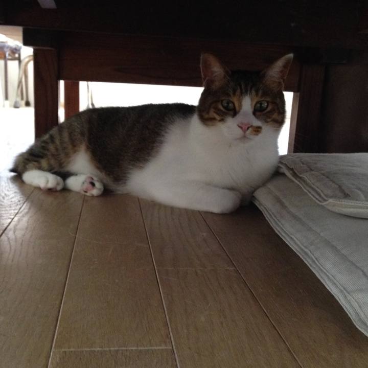 22aea6c9 550f 4095 84d4 59bfa50a4d1b