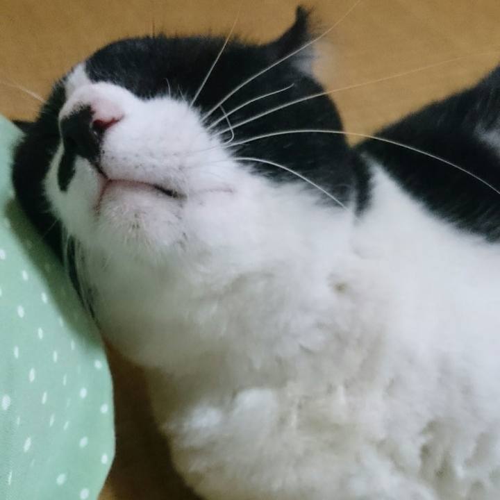 22af665e 18c2 41f2 8f11 f86aec663480