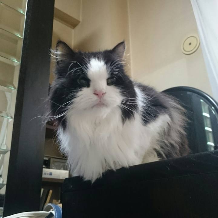 22afcda6 3a97 4b56 9717 00426359fb93