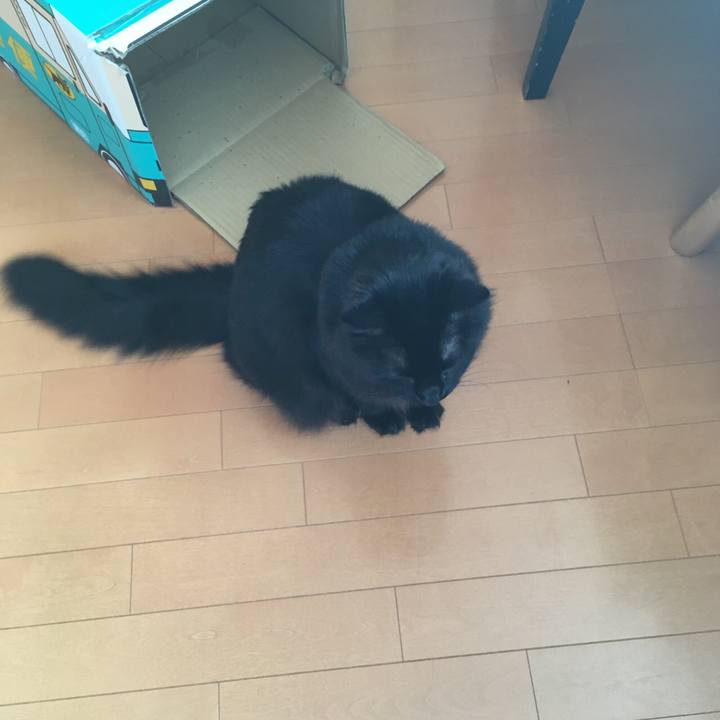 22b0216f f9b8 4a12 93cc 32ce1c0e46b1