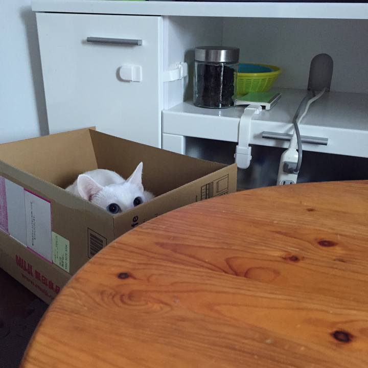 22b037b4 53f9 4d89 a7fa 8d752980adf3