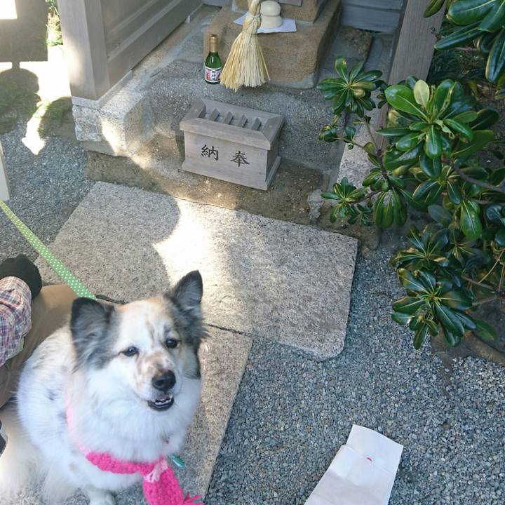 22b04ec2 2998 494f 8e92 c2889f8b385b