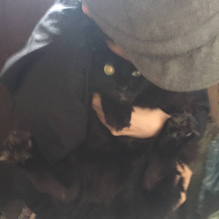 22b11b44 81d2 4206 aa8c 620c38a4cb4b