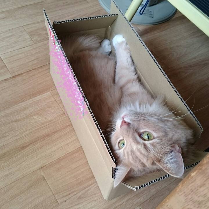 22b1c73b 4a81 4869 8d0b 21269d8cba4e