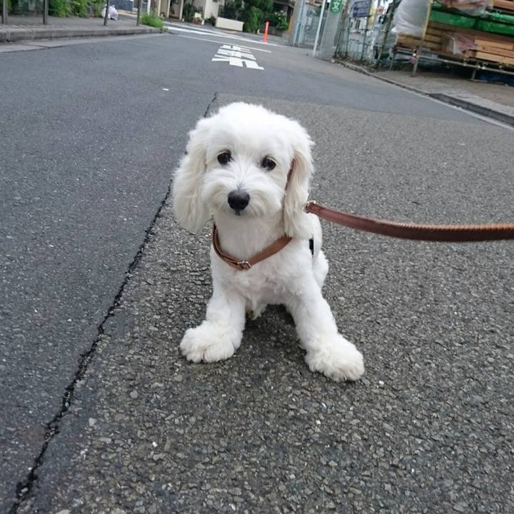 22b203f9 194e 44ad a3ca 9658ccc68dac