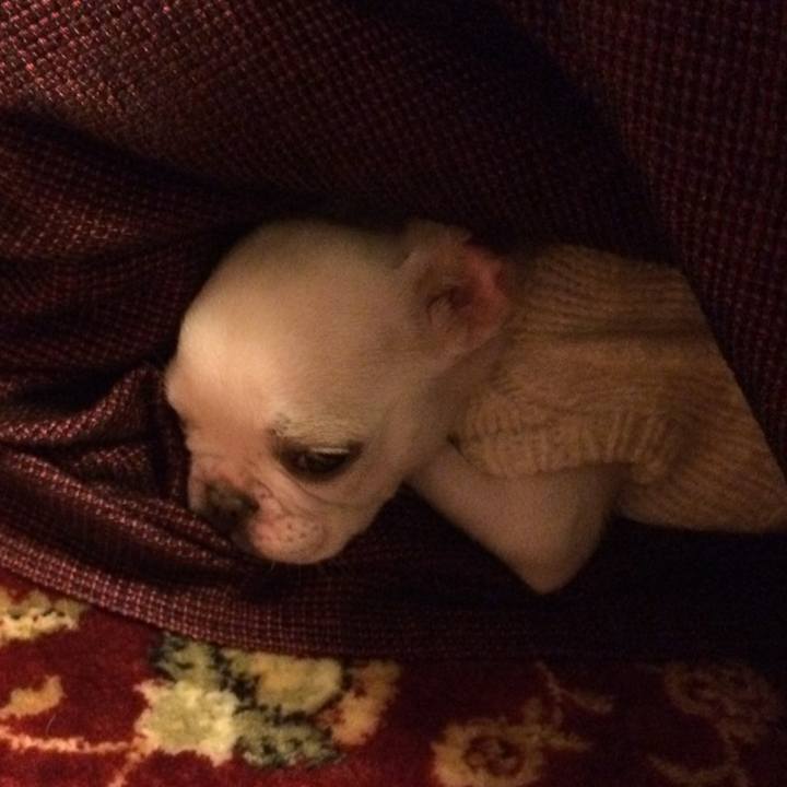 22b2358c 15b0 4d37 97df 075436cd211e