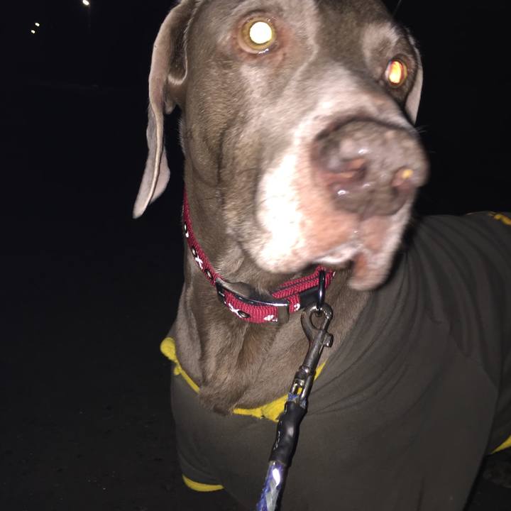 22b32581 7869 4895 8838 c5938aaeb5aa