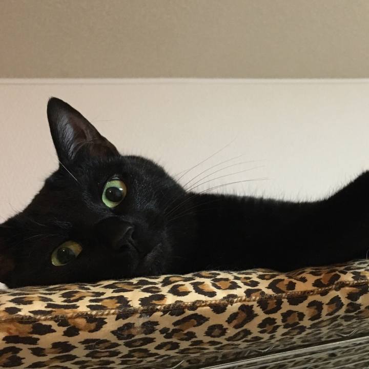 22b32c65 c1af 40be 84c6 52a414e3c946