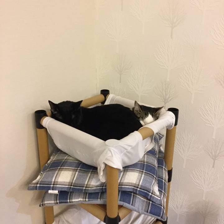 22b34e88 3c92 4b14 8df3 2fd0134a2082