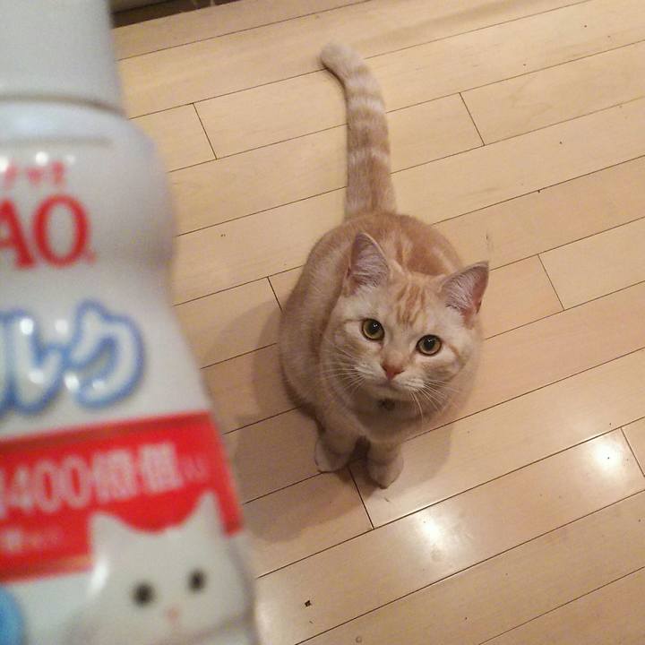 22b3f3f6 fee8 41d0 a956 13eab2b5ab72