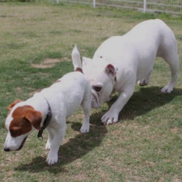 22b4ccb7 cf78 4908 83ec cffd1495d514