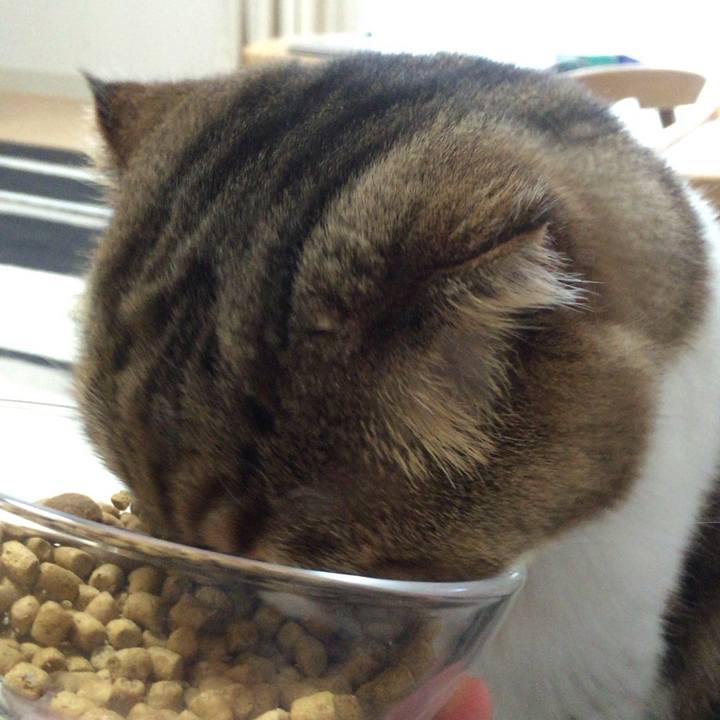 22b5f3a9 ee9a 480e 9dd9 71a7d79d25a1