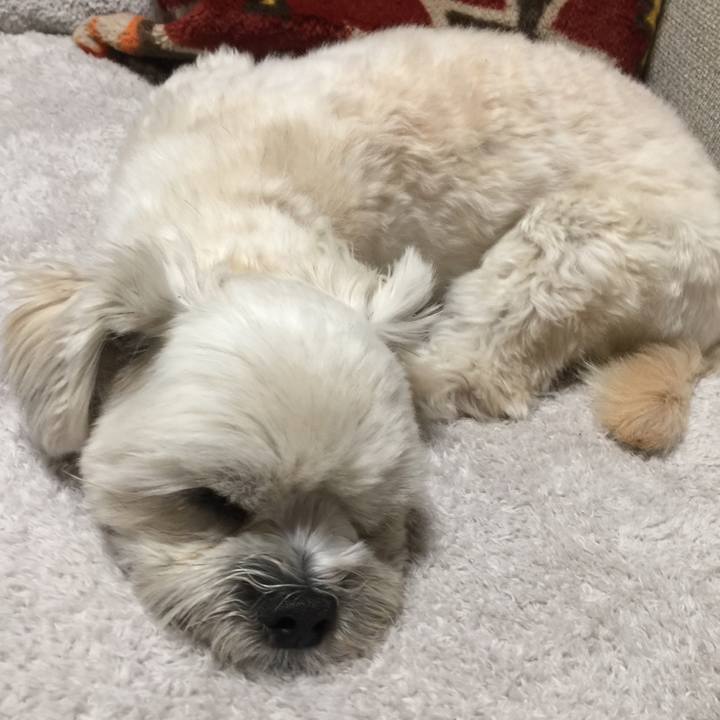 22b6406b c53c 462b 808c 62bd10fe72f9