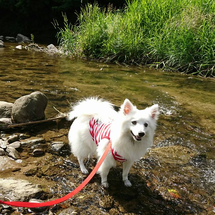 22b67d75 8746 47d7 93ee b500e9bb7b1f