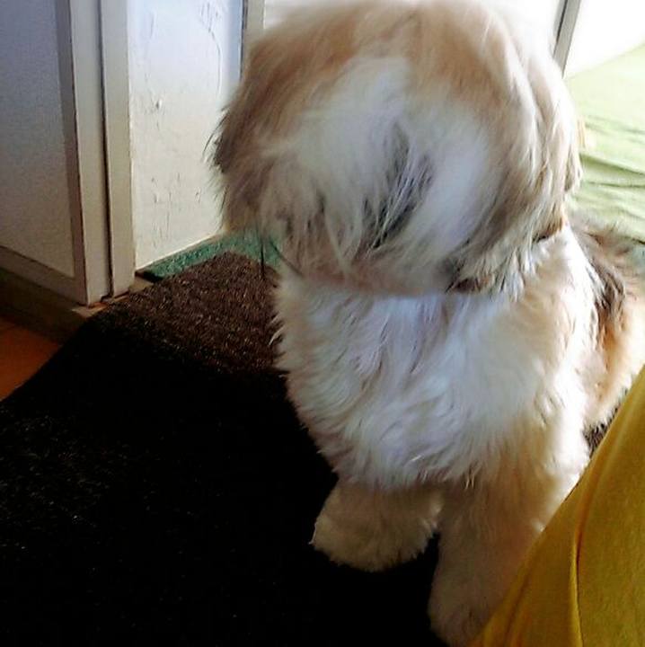 22b6deb8 52cf 4fff b0a6 cd422cc7a69f