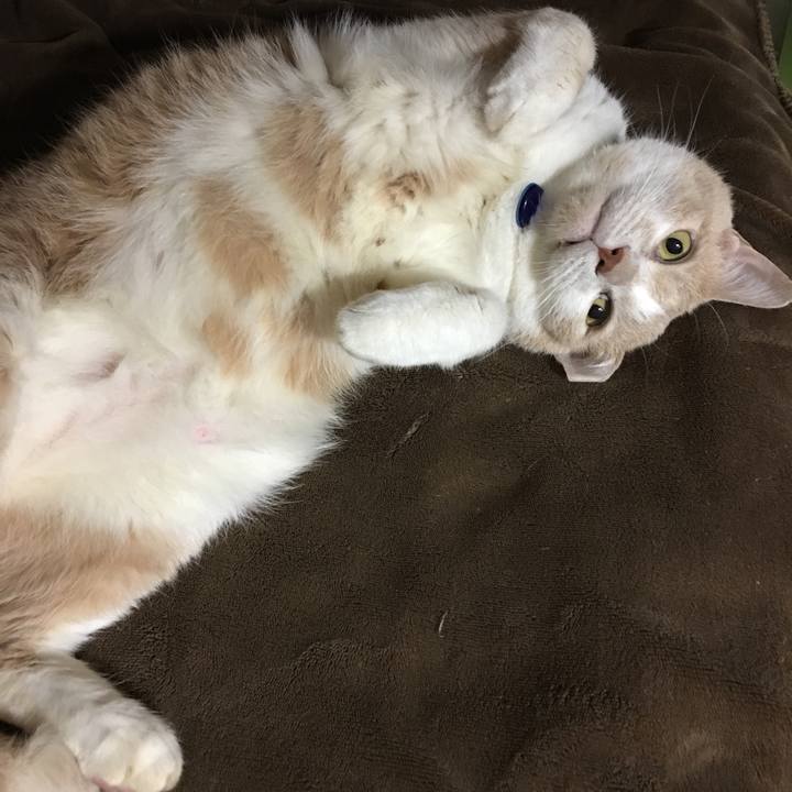 22b72fc3 81d1 4f57 bf27 57aa2d35035b