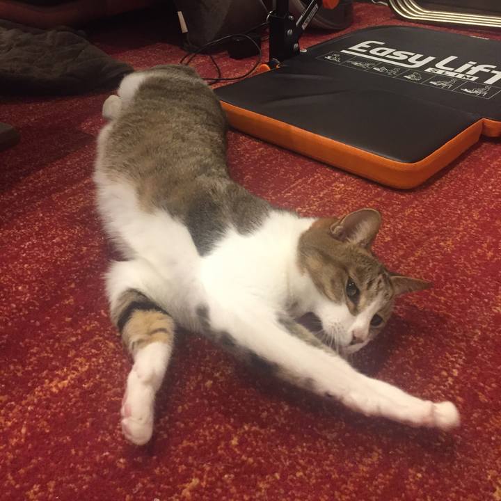 22b73878 fc2a 4c3c 8f1c 0eb5877a22bc