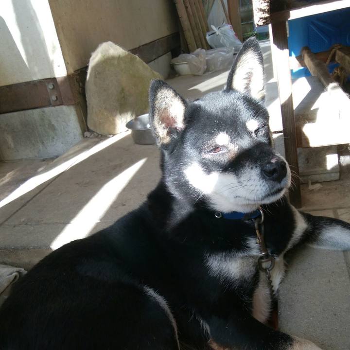 22b77ca1 773e 40cf a575 35901d283b96