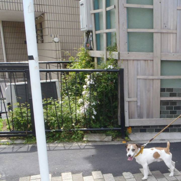 22b79bde 646a 4fef bc25 ec0ca92235dc