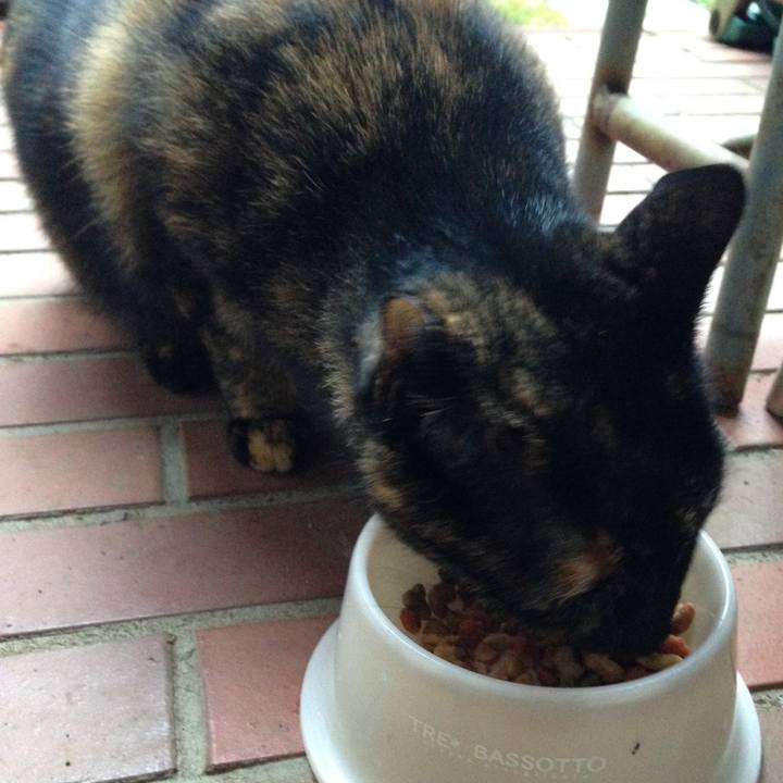 22b7a32a 30c5 4dfb afd5 da5b51f2f1ab