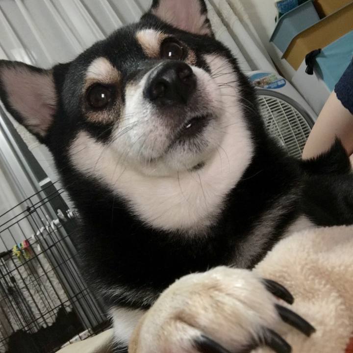 22b7cd9e a6d6 4b42 90f0 854b23618edf