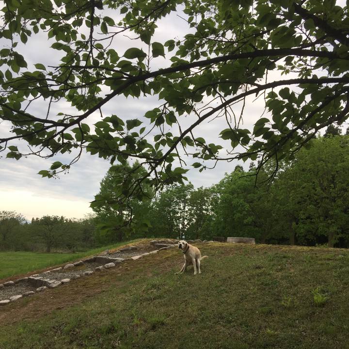 22b8a20a b252 4458 a364 5e318eafd83f