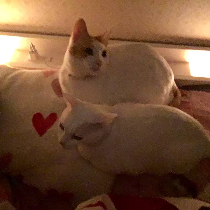 22b8d5f3 0d1c 40e5 a1bc 2b8cb4b467fa