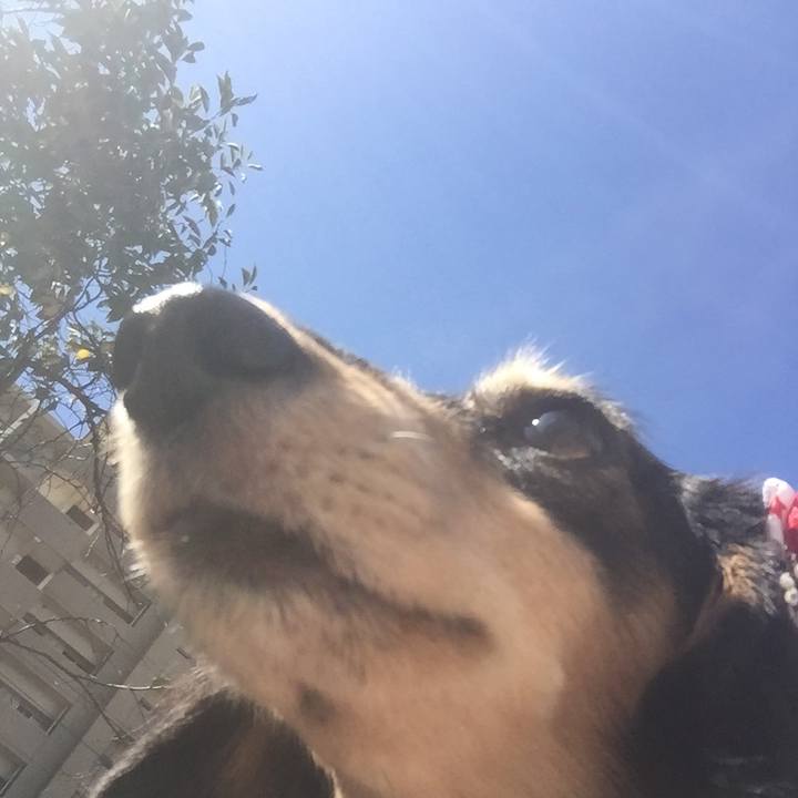 22b930b7 4512 4c71 8585 a7ab434d7f4c