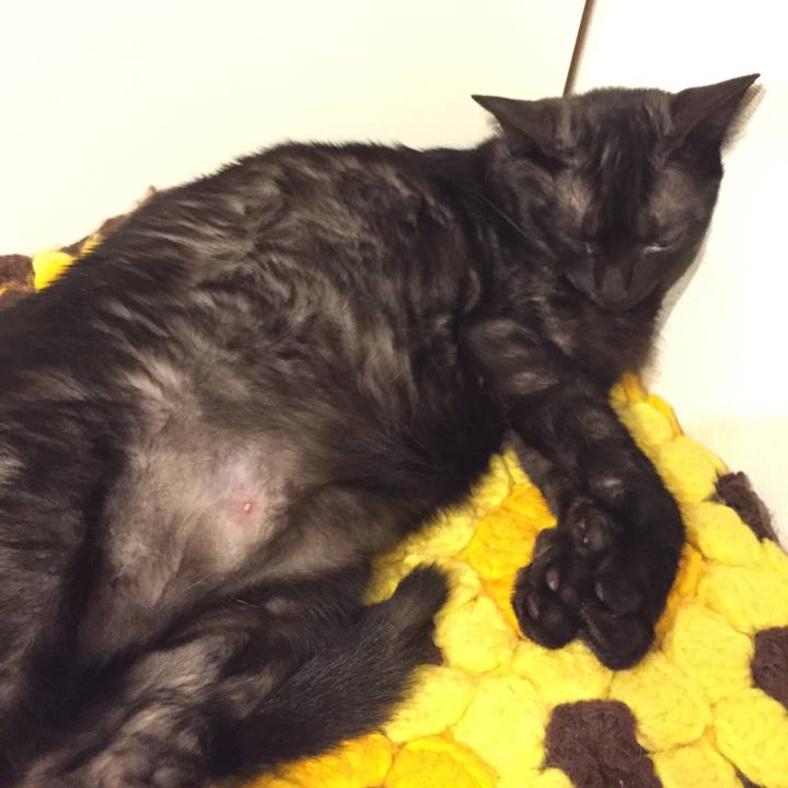 22ba6bc3 f1c2 4705 afcd 93576a3bfafc