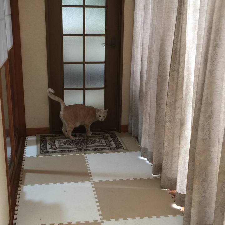 22ba6e06 2e86 4f4a b7c3 ba1f9df1430f