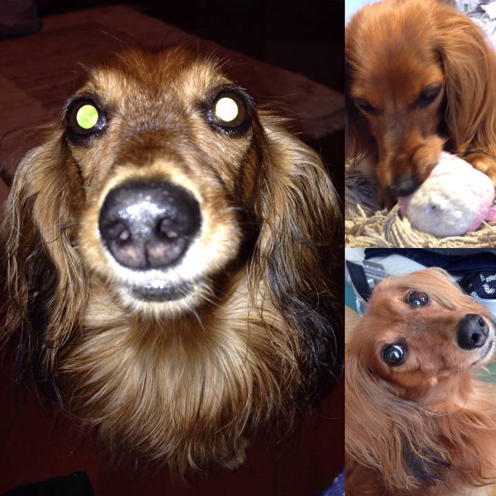 22ba771b 8f9f 45d2 8202 a99c475dfa5f