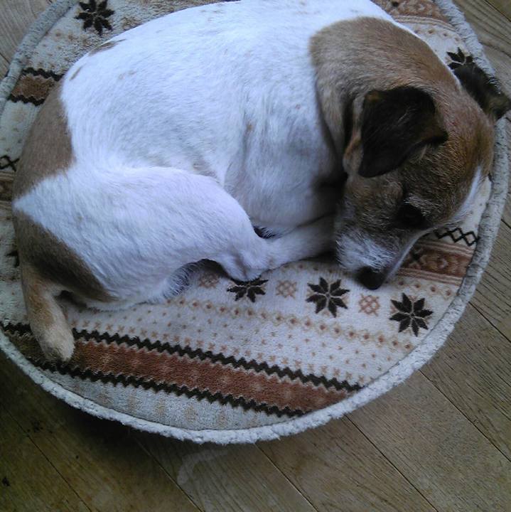 22baa247 cd23 4597 bc15 348025495bef