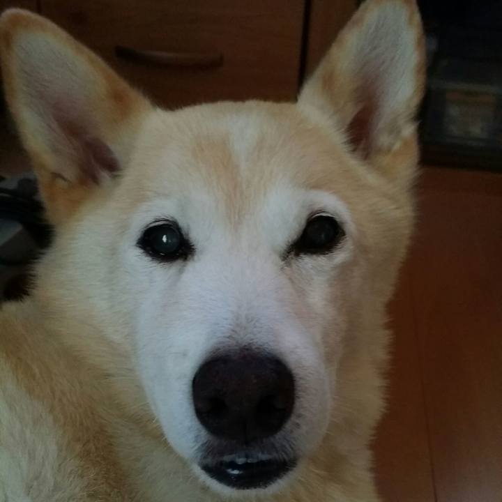 22bb0166 2c19 4fea 9e08 60be527b8def