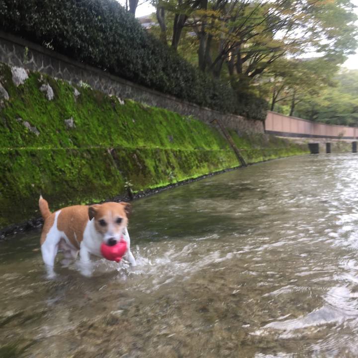 22bb3a2f 7d13 4e2c 84ec f6e638f793c4