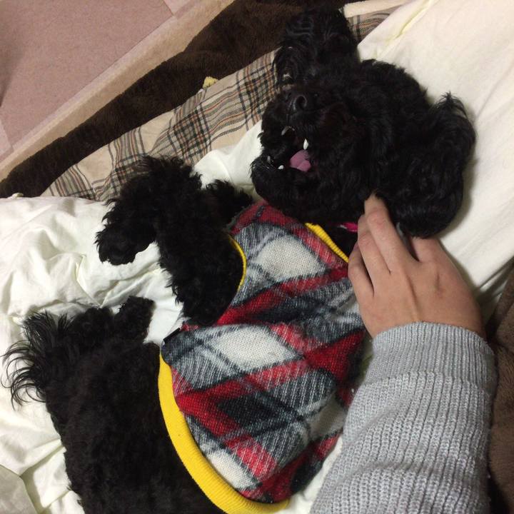 22bc0712 8de0 4bfe 8104 987cd50fddd5